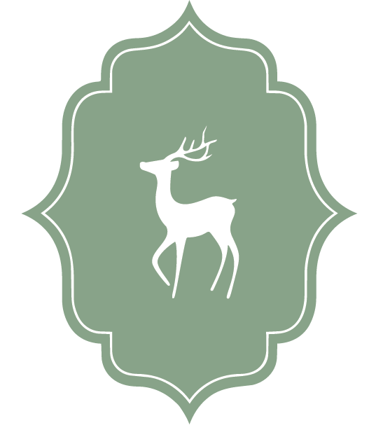 Zariyaa